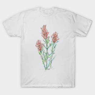 Indian paintbrush wild flowers T-Shirt